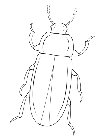 Mealworm Beetle Coloring Page